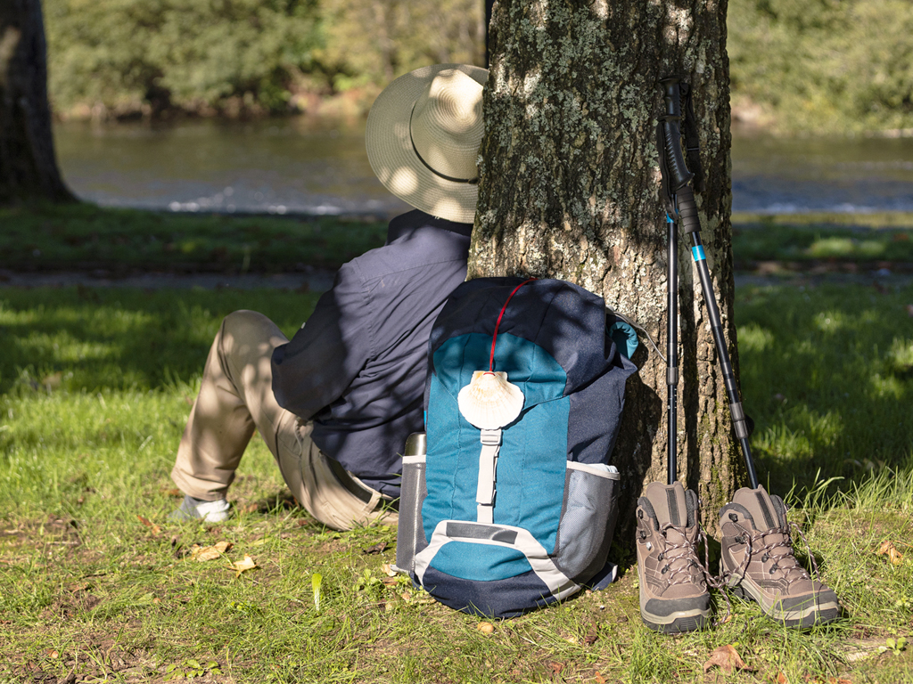 Camino Primitivo de Santiago