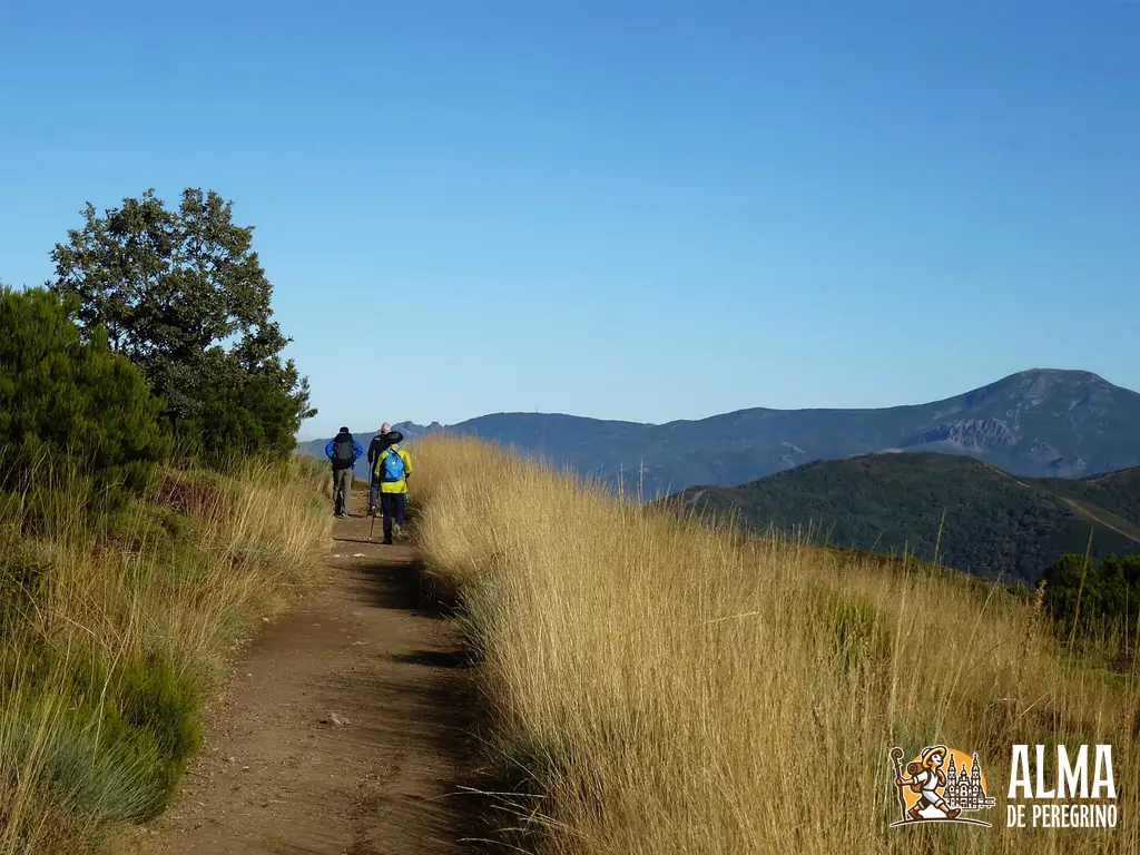 Cuánto se tarda en hacer el camino de Santiago