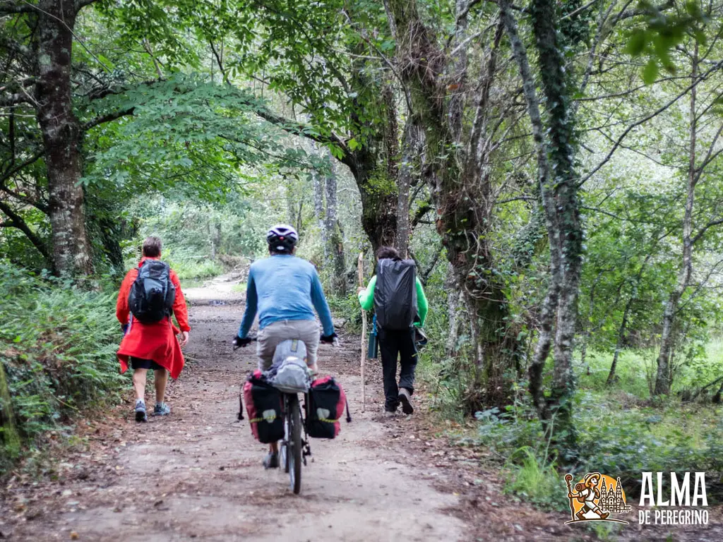 ¿Cuánto cuesta hacer el Camino de Santiago?