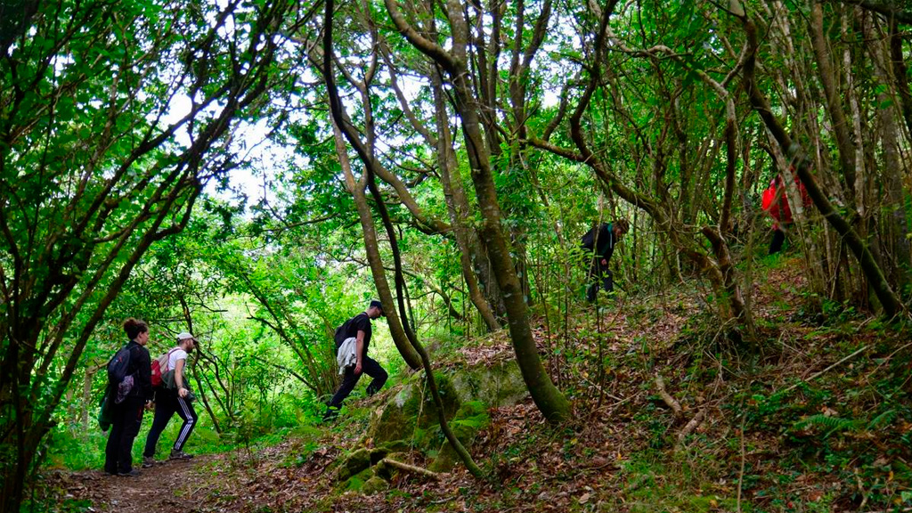 Camino de Santiago en 4 días - Guía completa